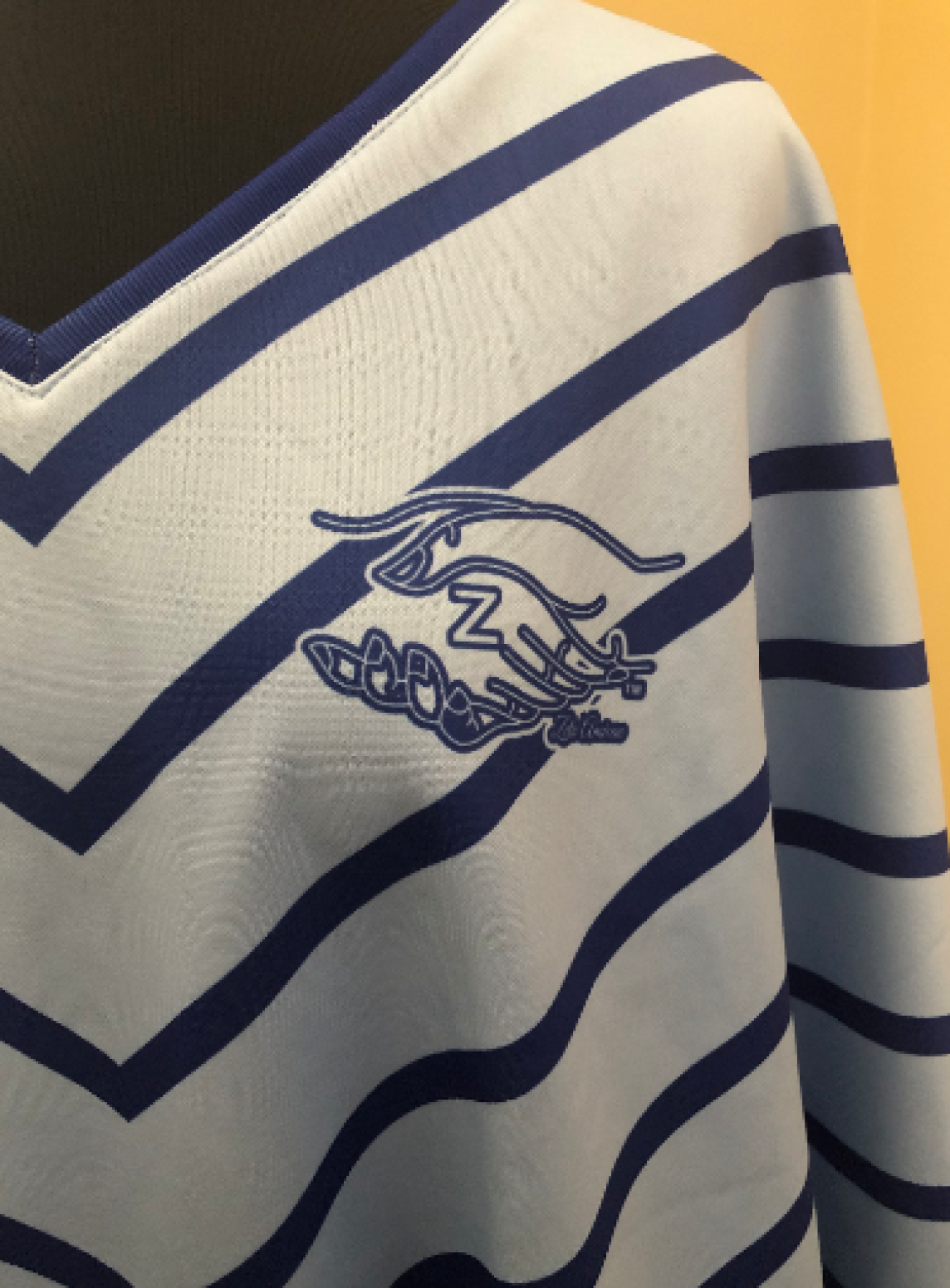 SALE!!!!  Amicae Cape