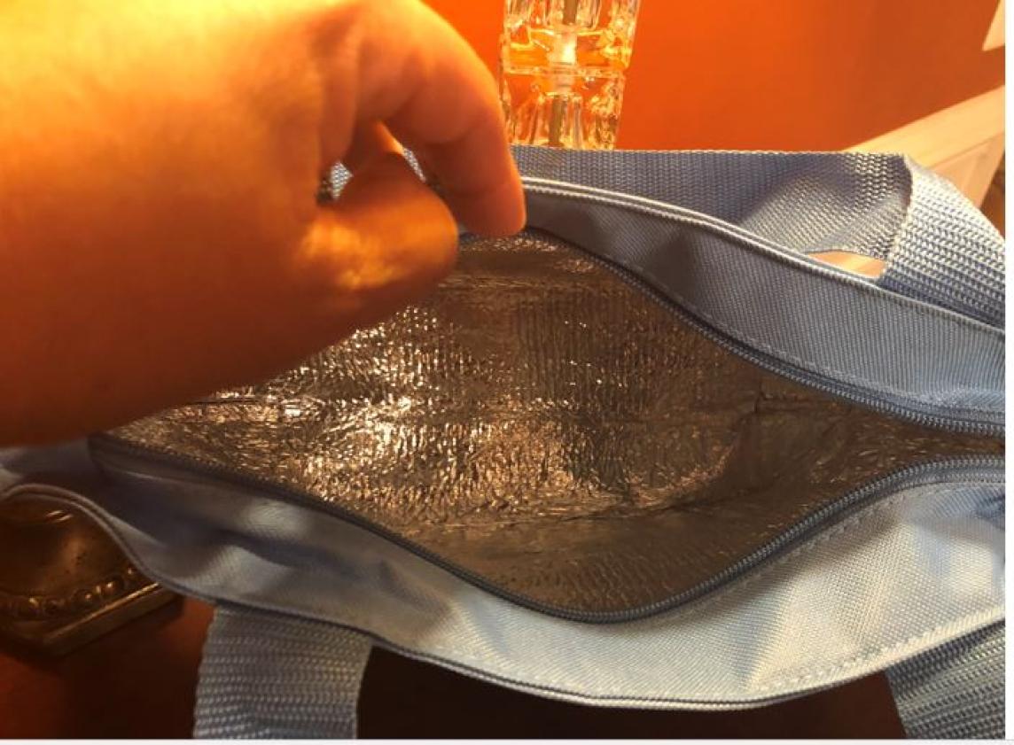 AMICAE Insulated Bag