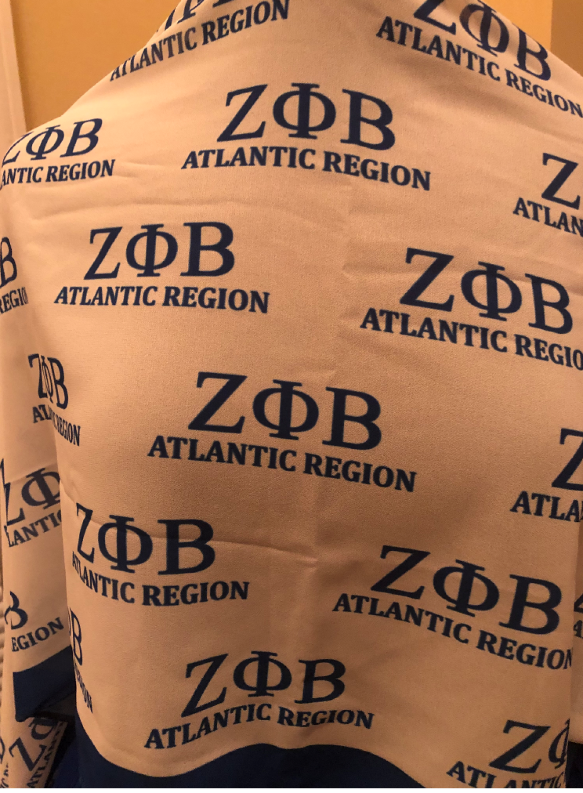 Zeta Phi Beta Atlantic Region Oblong Scarf