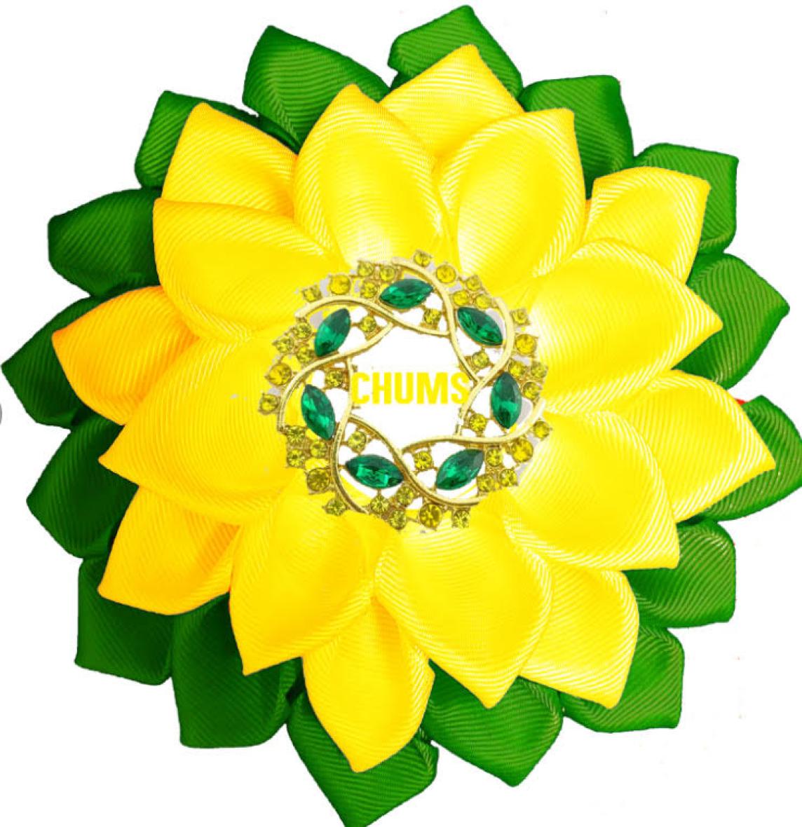 CHUMS Ribbon Brooch Pin