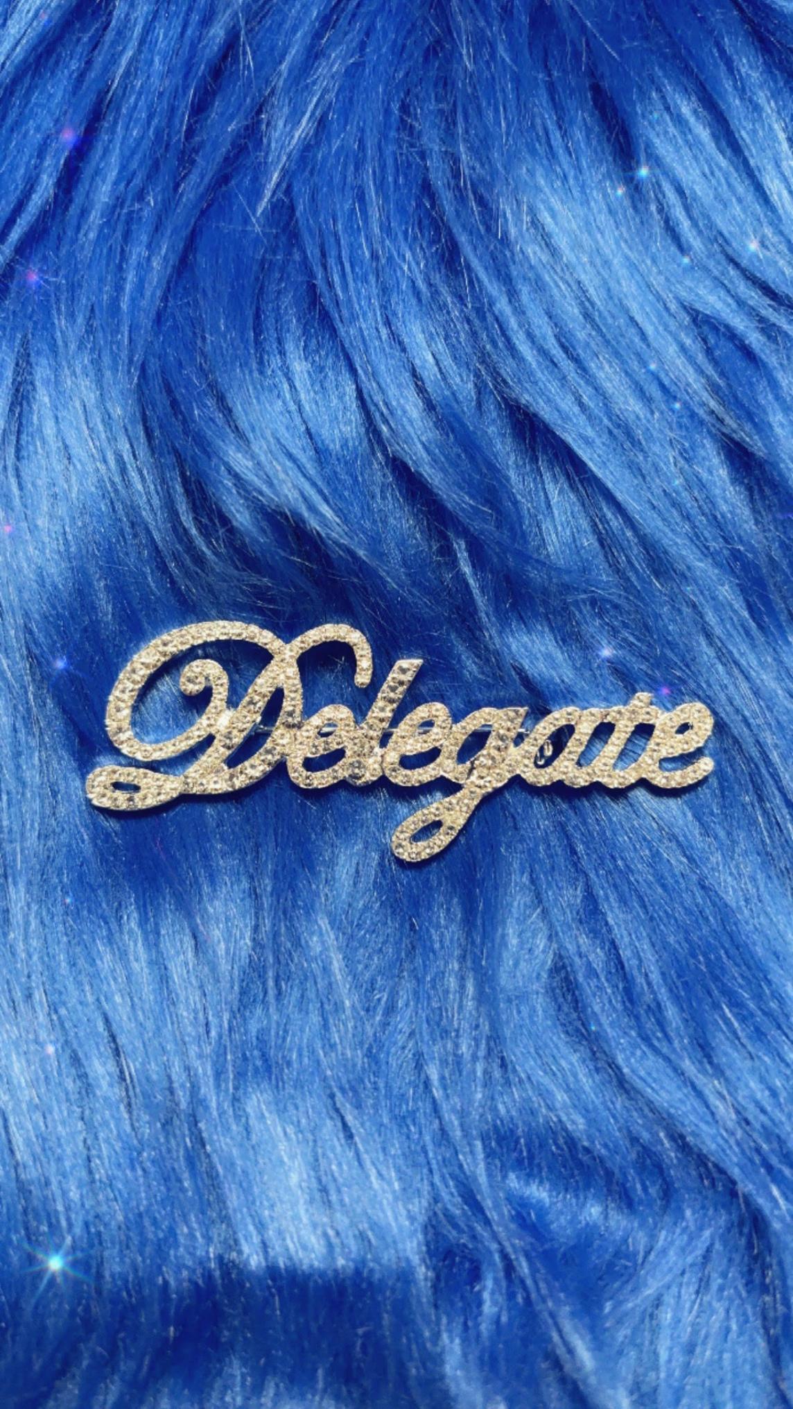 Delegate Rhinestones Pin