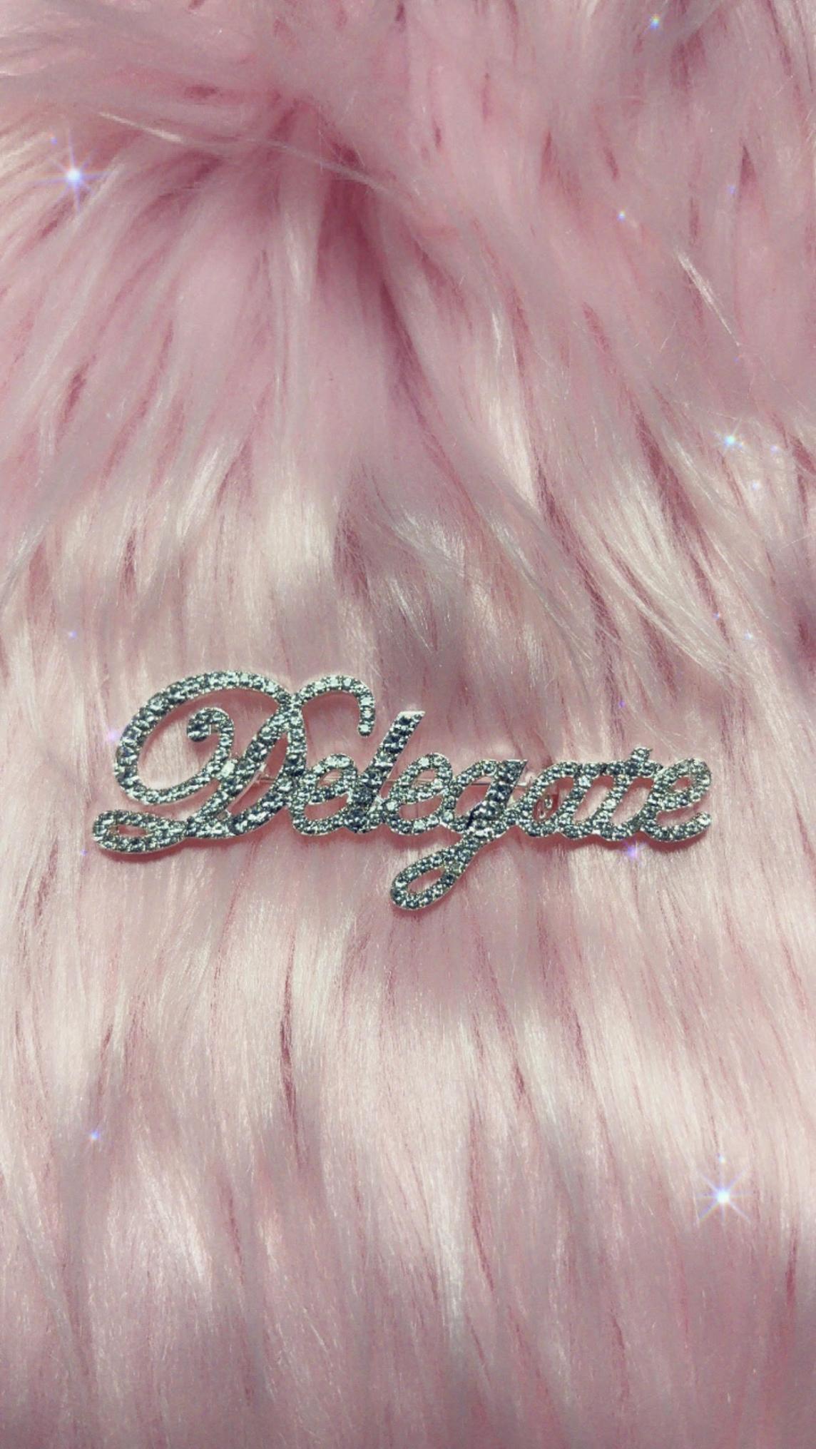 Delegate Rhinestones Pin
