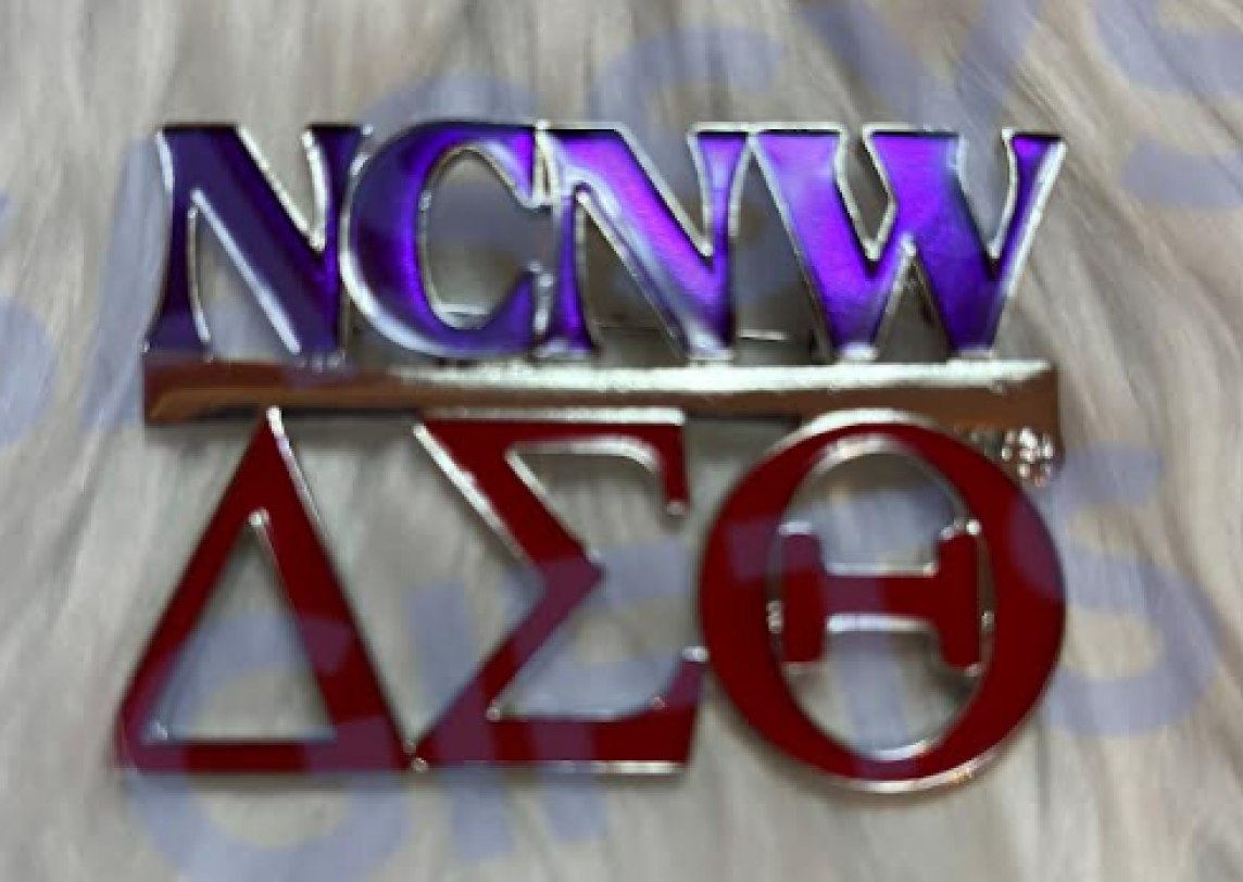 NCNW Delta Sigma Theta Letters Pin