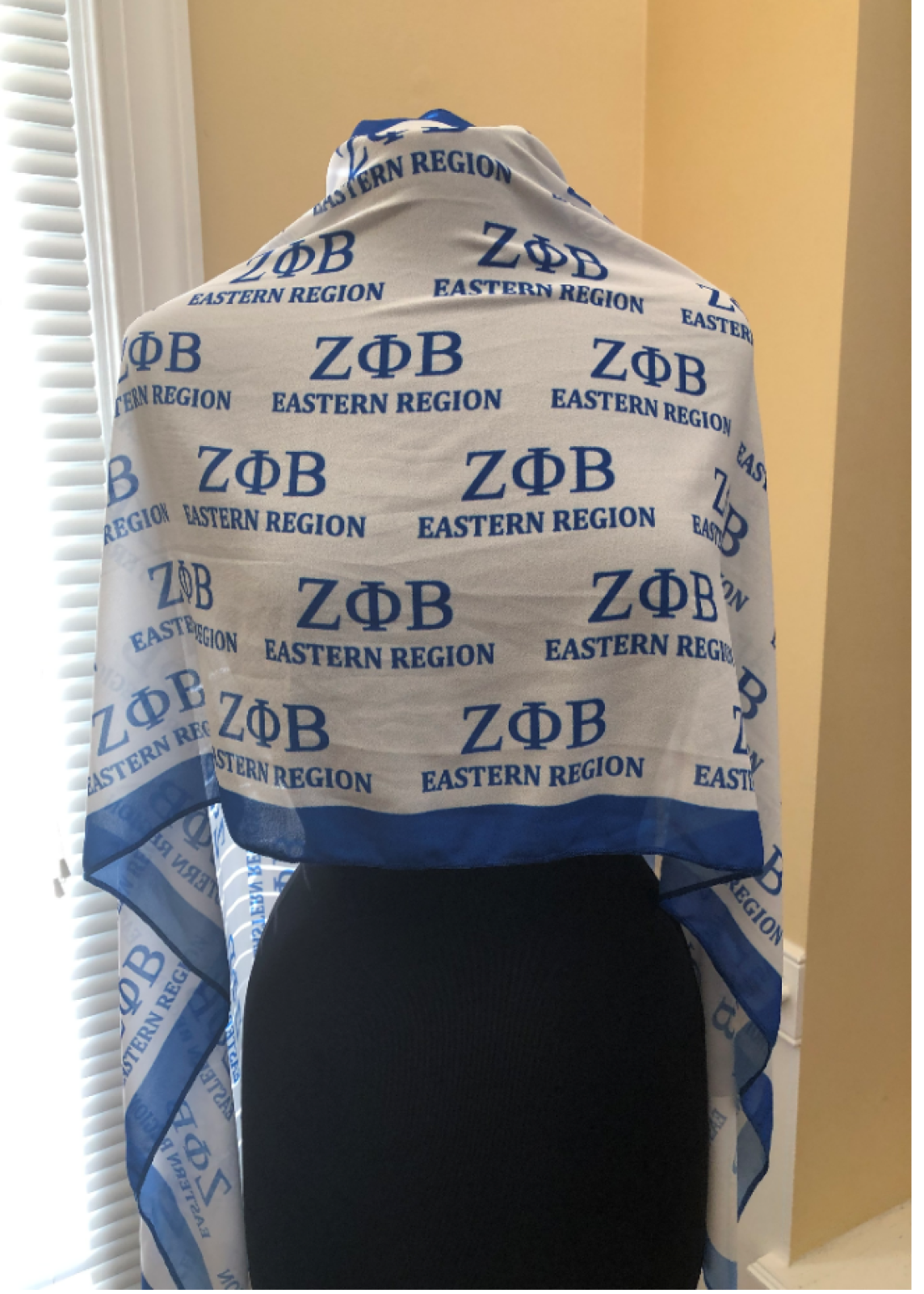 Zeta Phi Beta Eastern Region Oblong Scarf