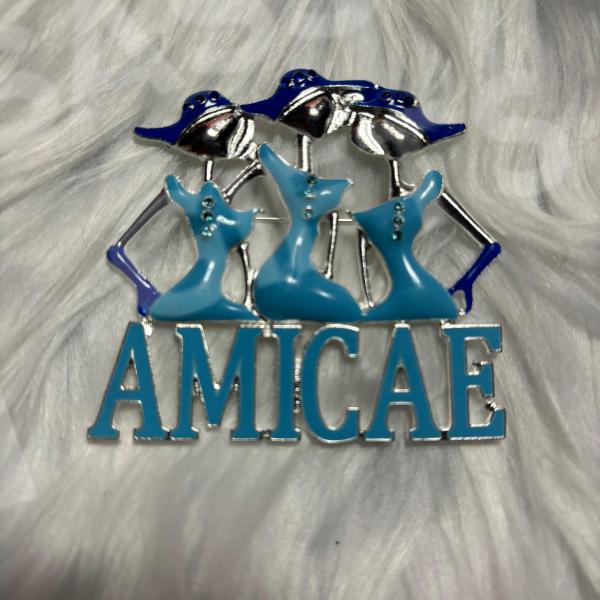 AMICAE Ladies Pin