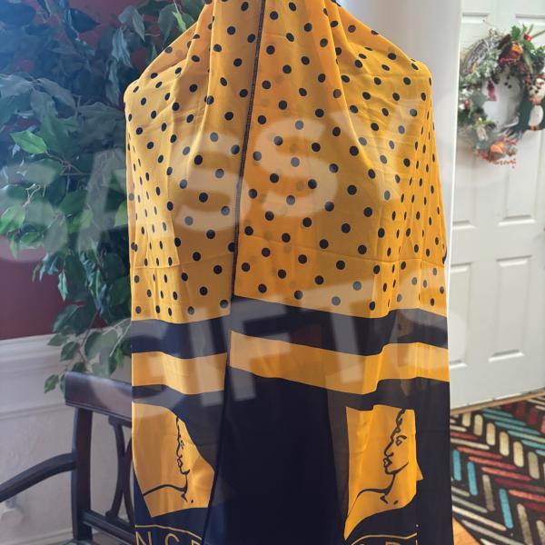 NCBW100 Polka Dots Oblong Scarf