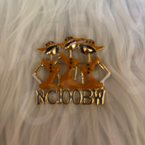 NC100BW Sisters Pin in Gold