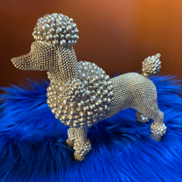 RHOver the Pretty Poodle