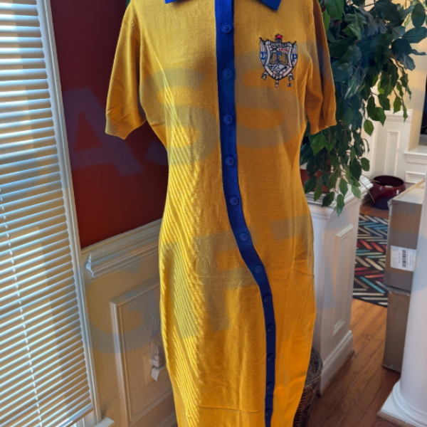 SGRho Gold Knit Dress/Duster 