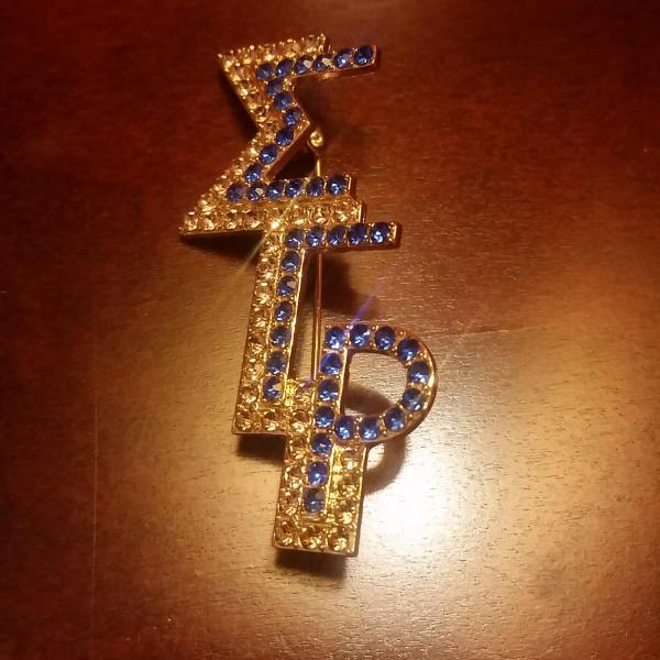 SGRho Two Tone Pin
