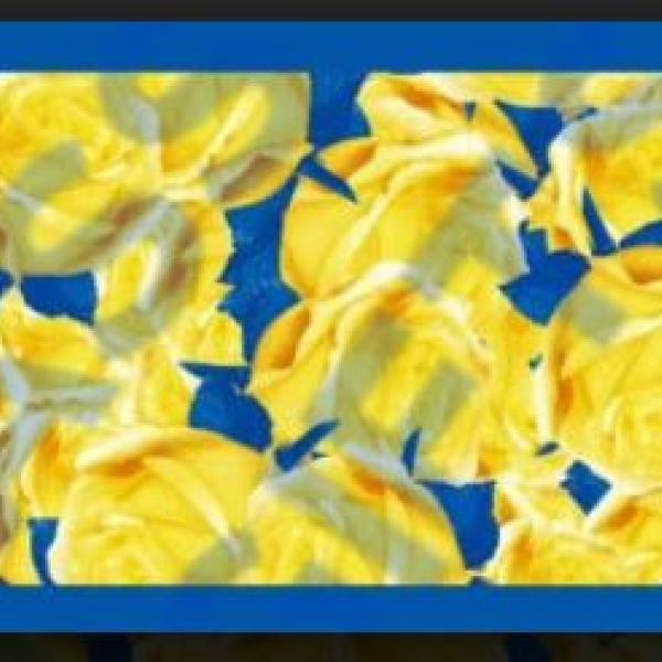 SGRho Yellow Rose Oblong Scarf