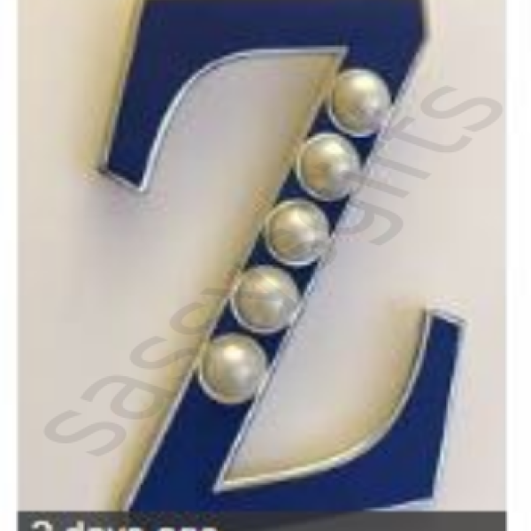 Zeta Phi Beta Z Pin